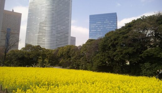 浜離宮恩賜庭園