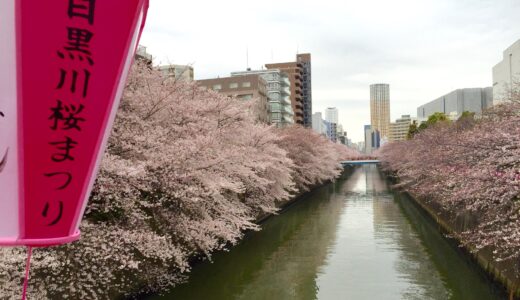 目黒川桜まつり