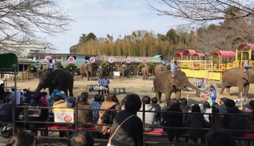 ぞうの国@千葉県市原市