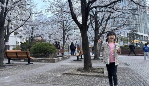 桜満開